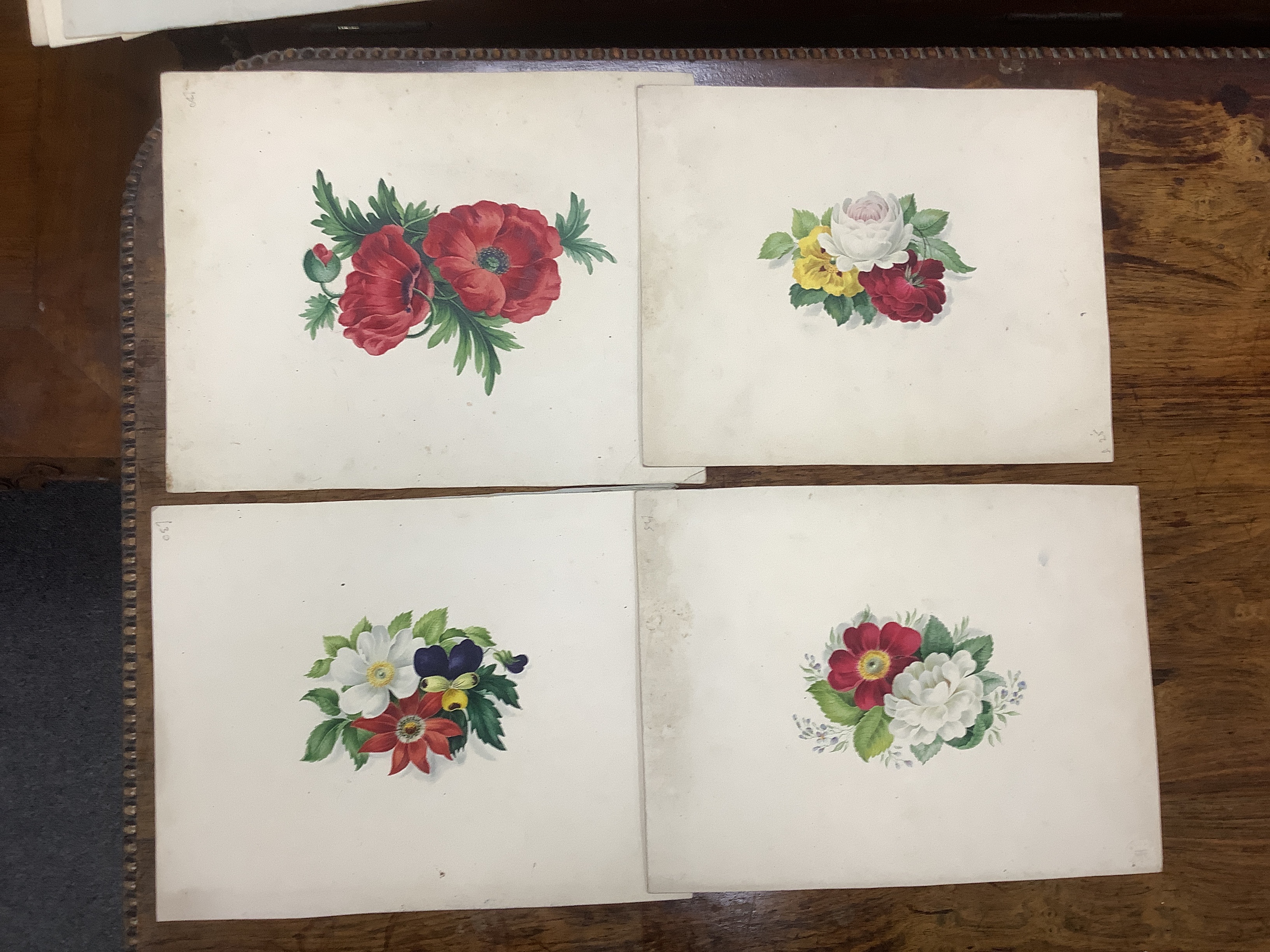 A collection of 19th century botanical watercolour studies on paper, one indistinctly signed and inscribed Manchester in ink, largest 34 x 26cm, unframed, housed in a tooled leather wallet